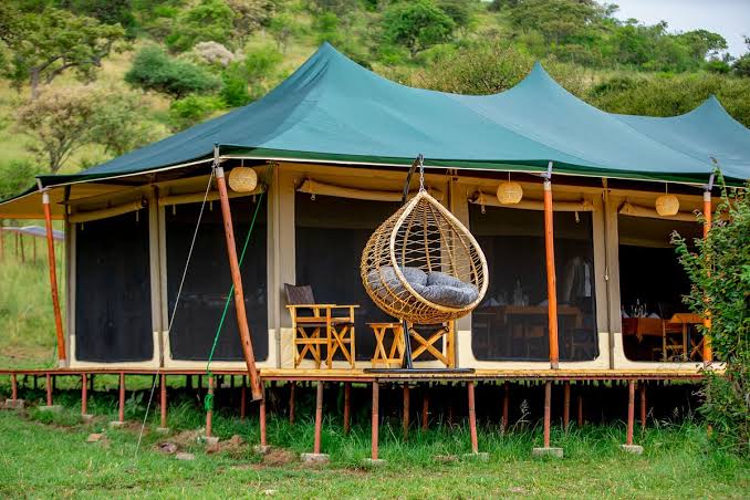 Friends Camp 2