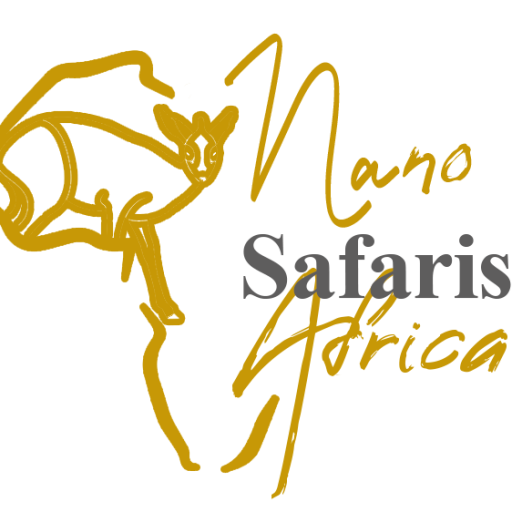 cropped-NANO-SAFARI-AFRICA-e1741340912997